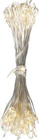 Гирлянда Globo 29950-100, белый, LED, 100x0,03W